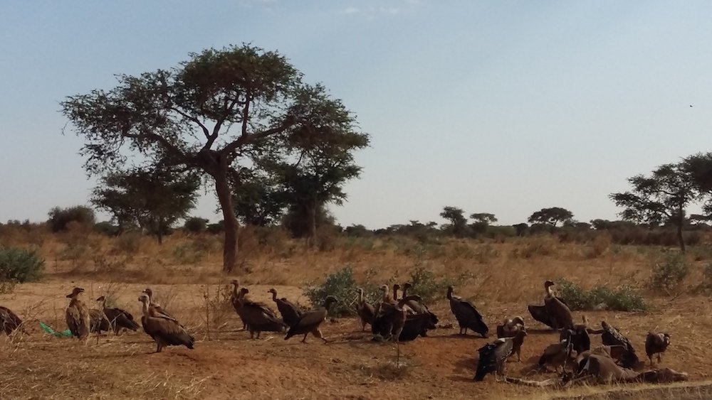 Motorcycle trip to Dakar
