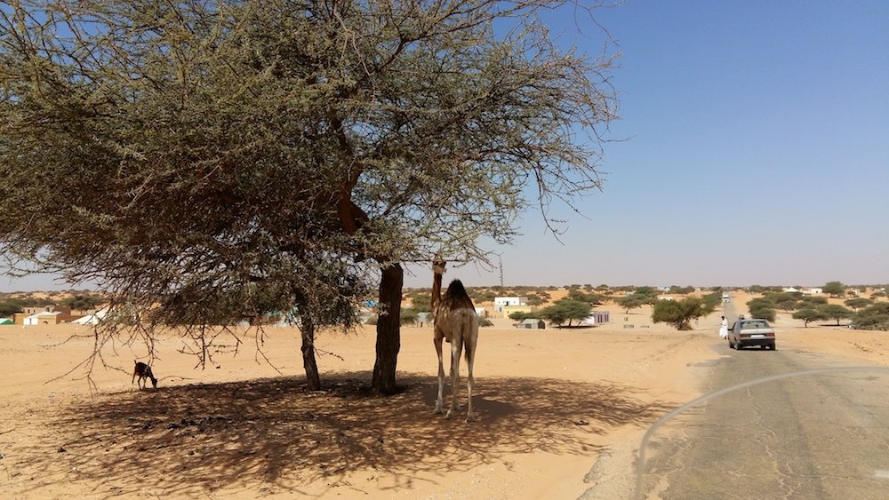 Motorcycle trip to Dakar